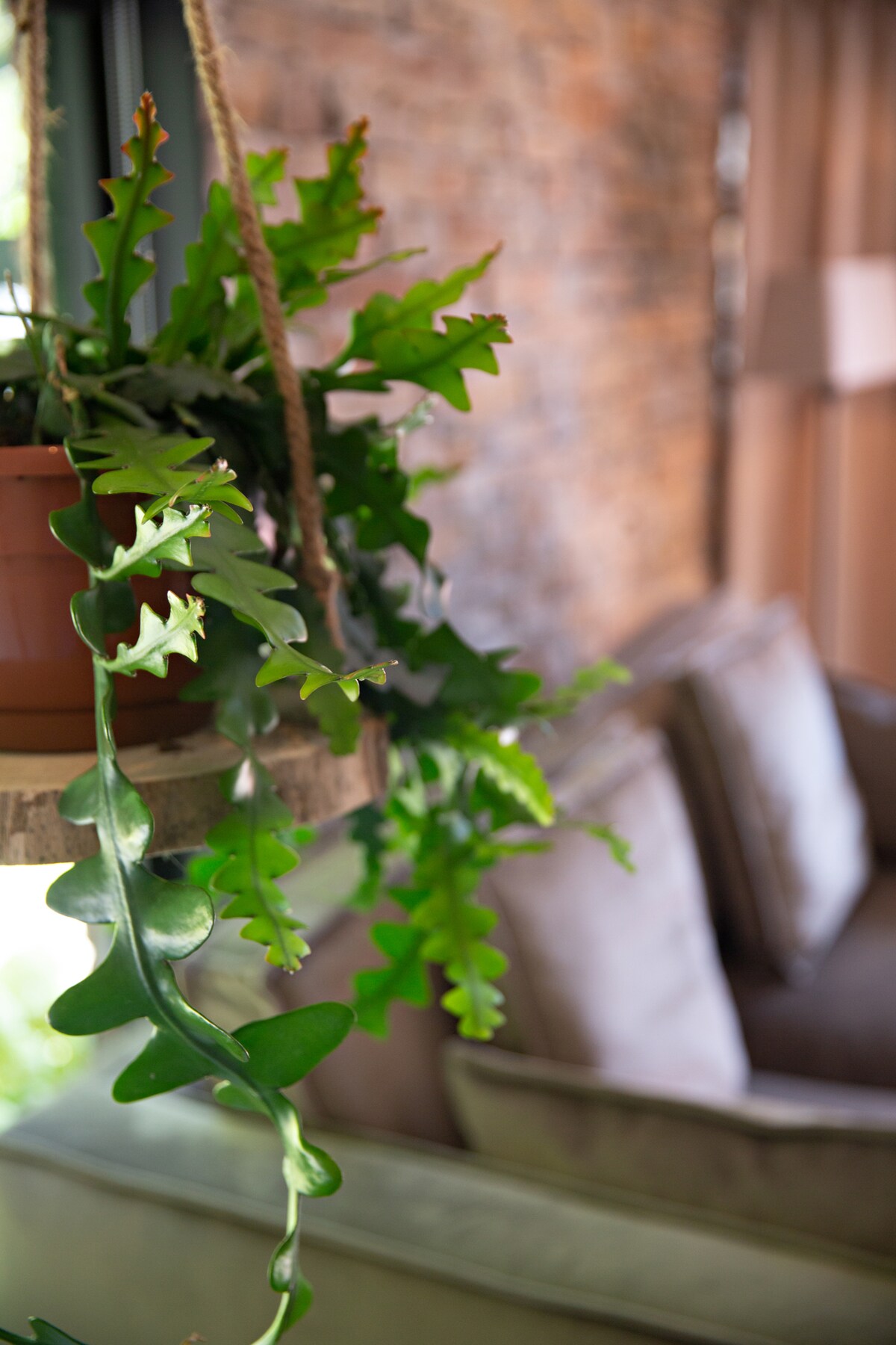 Top performing Airbnb: Cozy forest lodge with hot tub and veranda in Noordwijkerhout Buitengebied