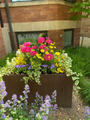 Gorgeous Home near Wrigley Field gallery image 2