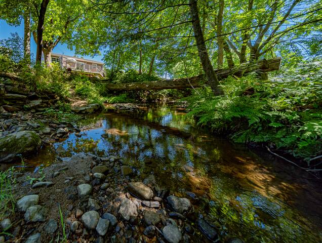 Relax by the stream and explore endless trails! gallery image 3