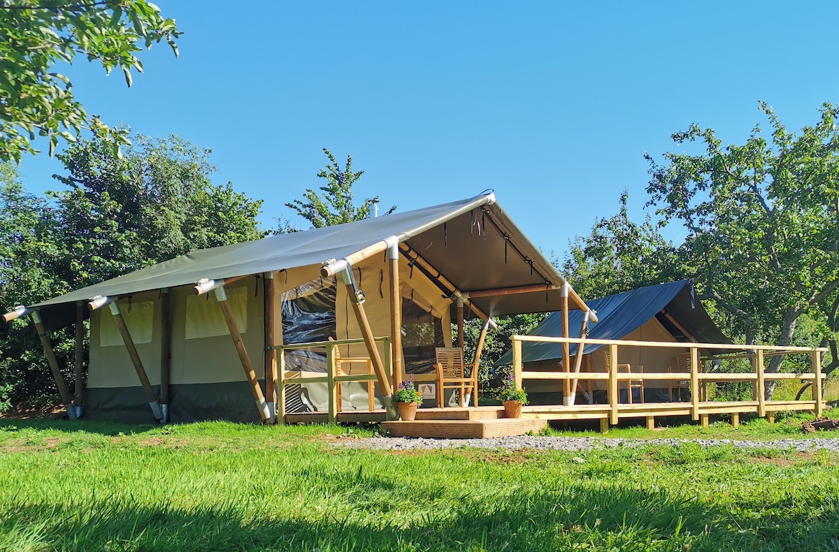 A spacious safari tent sits within a green orchard, featuring a large covered patio area with wooden furniture. Adjacent, a smaller tent with a dark canvas roof is visible. The sunny blue sky enhances the natural surroundings, creating a peaceful outdoor setting.