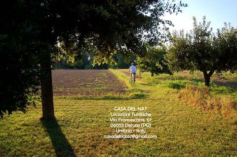 Ideal for your vacation in Umbria