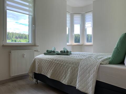 Feel-good apartment with star comfort in Tanne