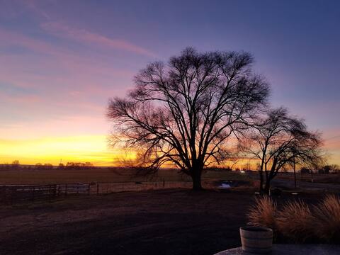 Country Home--Near the Wonders of the Magic Valley