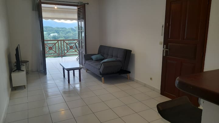 Baie-mahault : Appartement Avec Vue Montagne - Guadeloupe