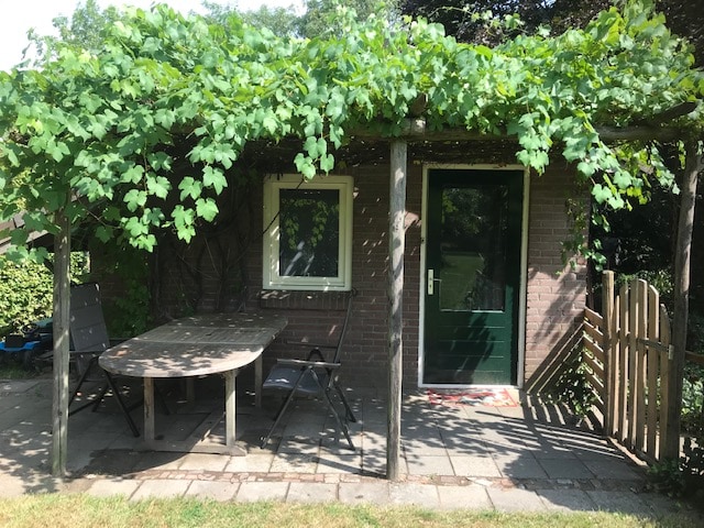 An outdoor seating area is shaded by a lush grapevine pergola. A wooden table with two chairs is positioned on a paved patio, alongside a green door leading into the house. A gate is visible on the right, adding charm to the space.