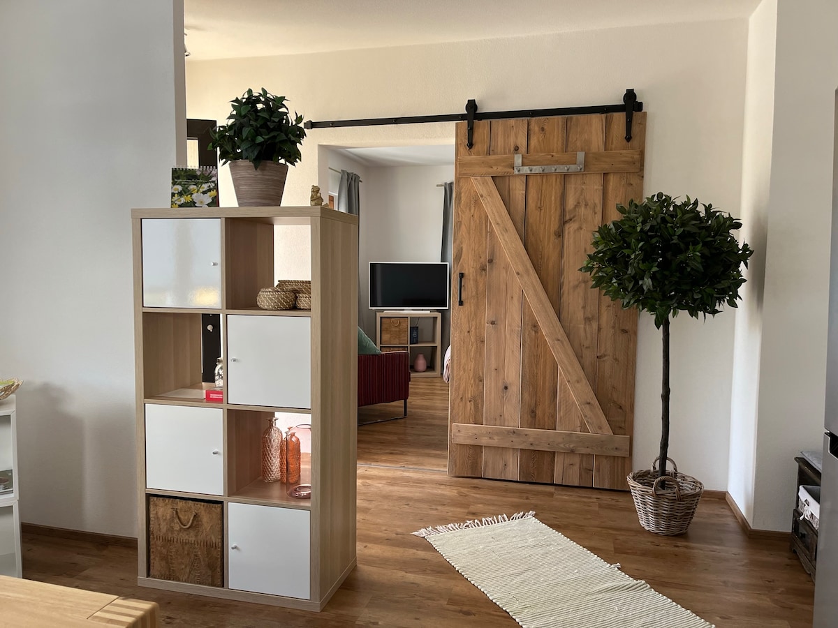 A modern interior is highlighted by a wooden sliding barn door and a stylish shelving unit. A flat-screen television is visible in the background, surrounded by comfortable seating. Wooden flooring enhances the space's warmth, complemented by decorative plants for an inviting touch.