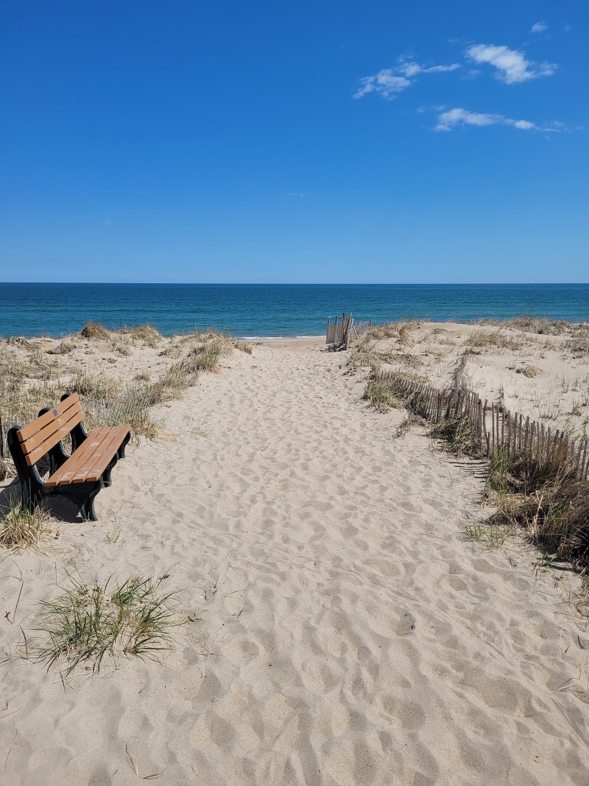 A sandy pathway leads to the beach, flanked by tall grass and a low fence. A wooden bench provides a resting spot along the way. The ocean stretches into the distance under a clear blue sky, inviting relaxation and exploration.