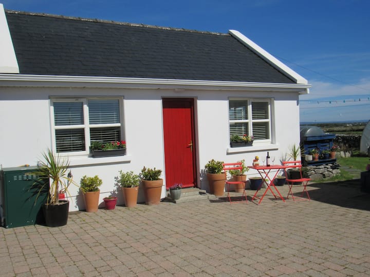 travellers inn kinvara