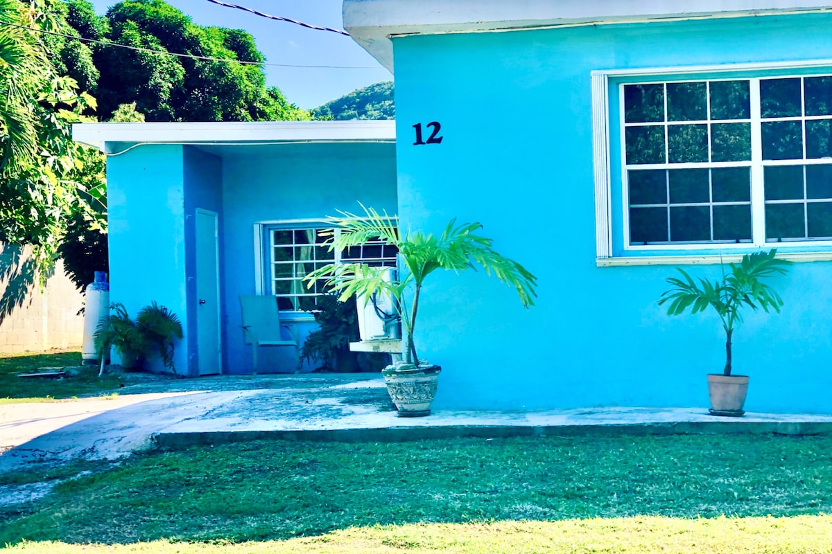 The exterior of a bright blue house is featured, with a prominent house number '12' displayed. Potted plants are positioned at the entryway, and multiple windows allow natural light into the interior. A well-maintained lawn surrounds the property, adding to the inviting appearance.