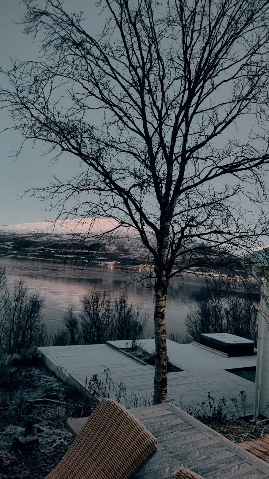 A serene landscape features a barren tree beside a still body of water, reflecting the surrounding hills. Snow covers the ground, enhancing the natural beauty of the area as soft light casts a gentle glow over the scene.
