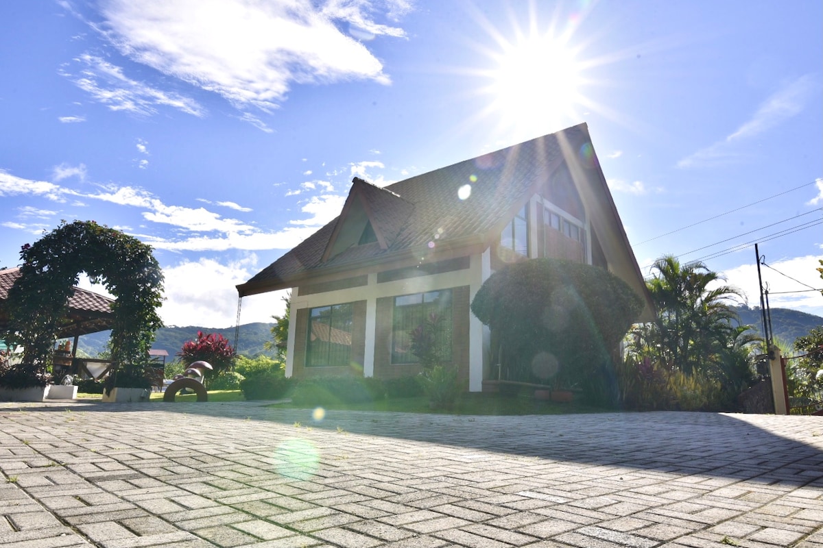 A spacious house is shown with large windows that reflect sunlight, surrounded by lush greenery and colorful plants. A paved area leads up to the entrance, with the sun shining brightly in a clear blue sky.