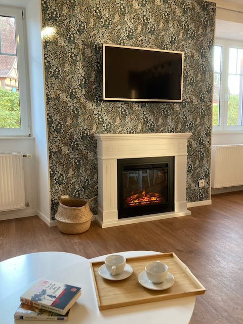 Top Airbnb: Le Carrousel cosy - Centre Obernai 3* * * à Obernai