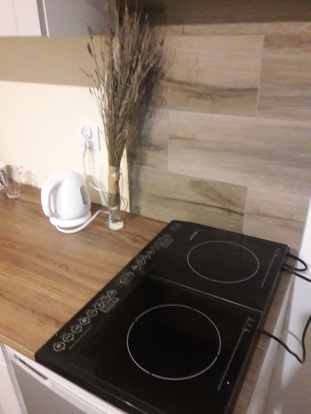 laptronix double induction hob