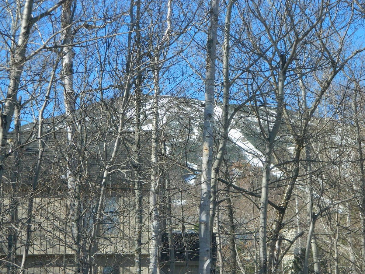 A glimpse of a snowy mountain peak is visible through a cluster of leafless birch trees. The blue sky contrasts with the bare branches, creating a serene natural setting indicative of winter. The building's muted exterior is partially obscured by the surrounding foliage.