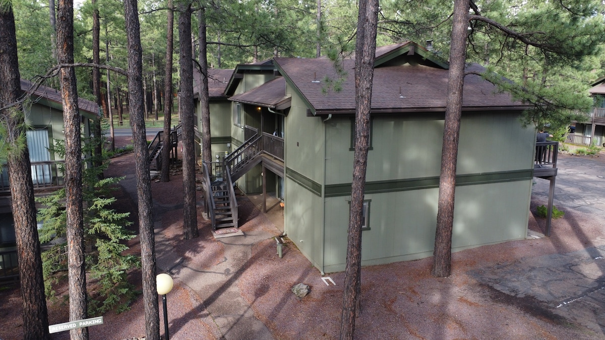 The two-story building is nestled among tall pine trees, featuring a muted green exterior. Stairs lead to the upper level, while the surrounding area is composed of gravel and shades of natural greenery. Ample space is visible for parking and outdoor activities.