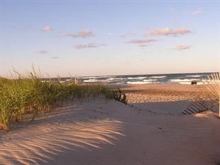 A serene beach scene features gentle waves lapping against the shore, with tall, green grasses framing the soft sandy path. The sky is filled with scattered clouds, creating a peaceful atmosphere in the early evening light.