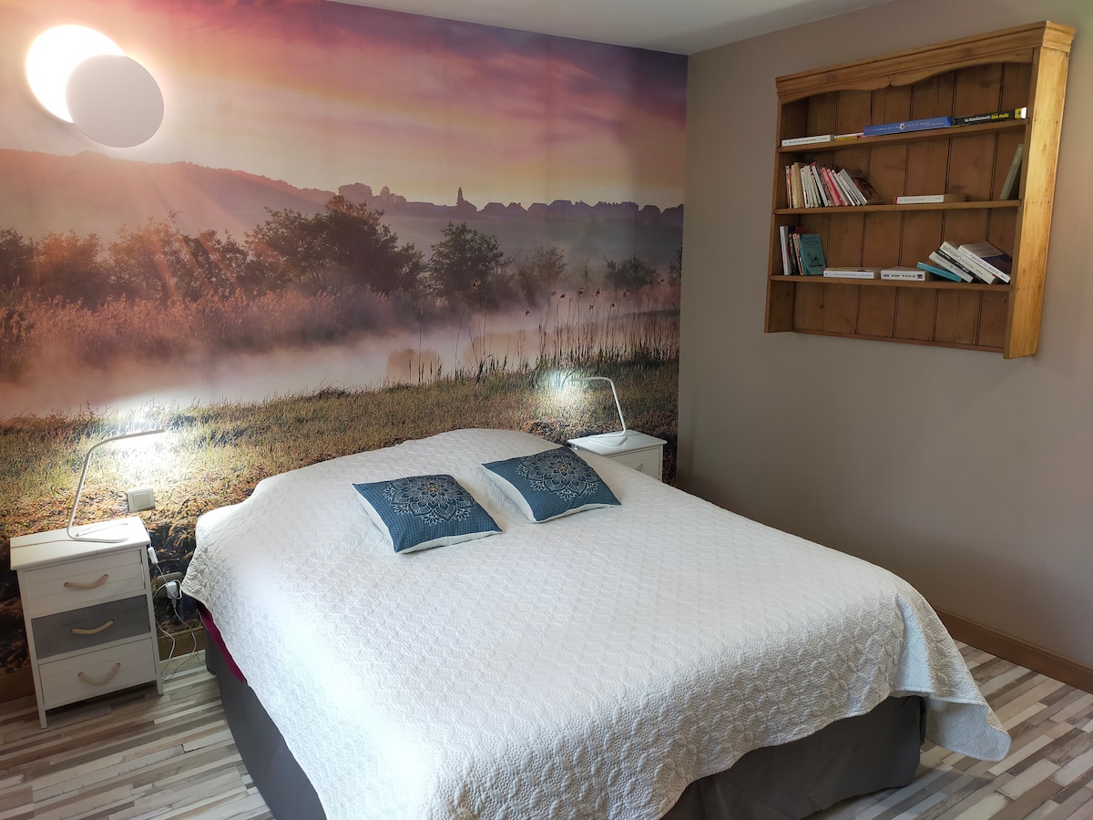 Grote slaapkamer met een bed van 160 cm en bibliotheek