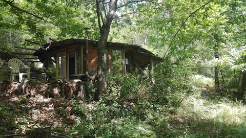 Studio dans la Forêt