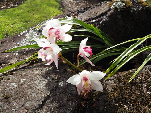 French Cottage & Loft … Escape to the Country gallery image 4