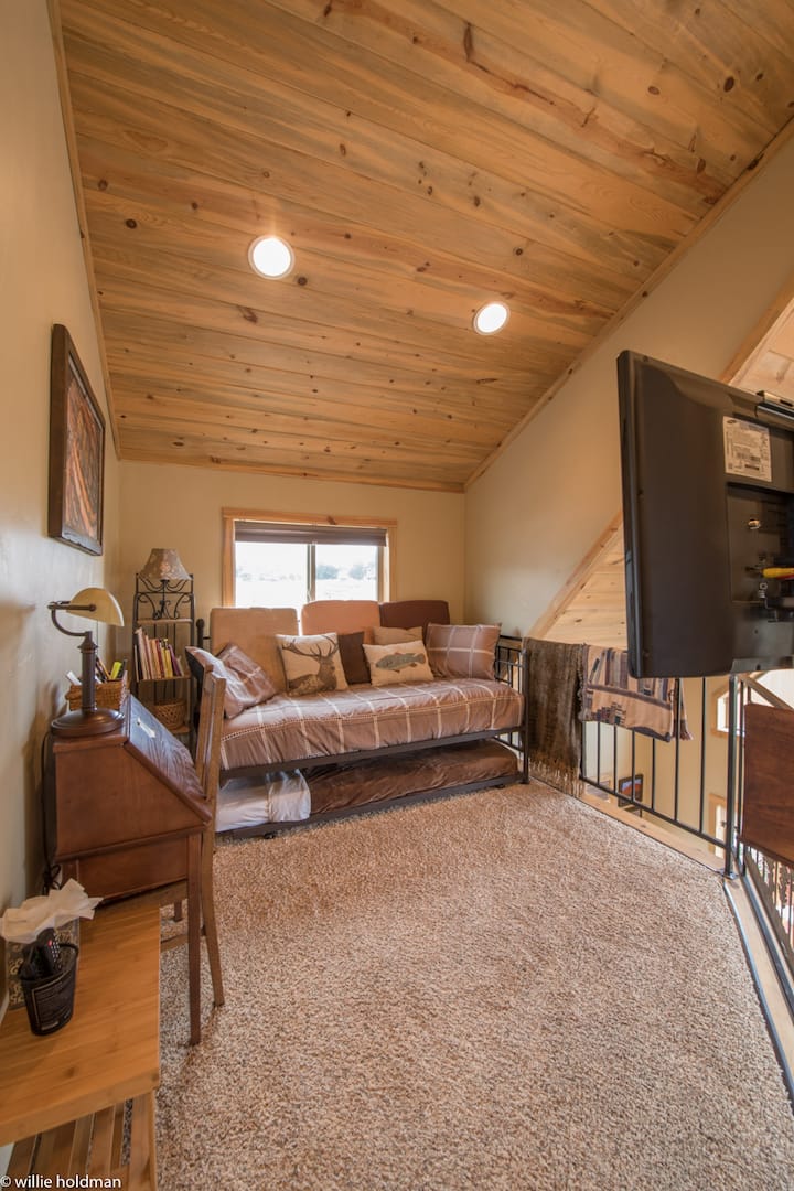 Loft beds, with pull out bed underneath and TV.
