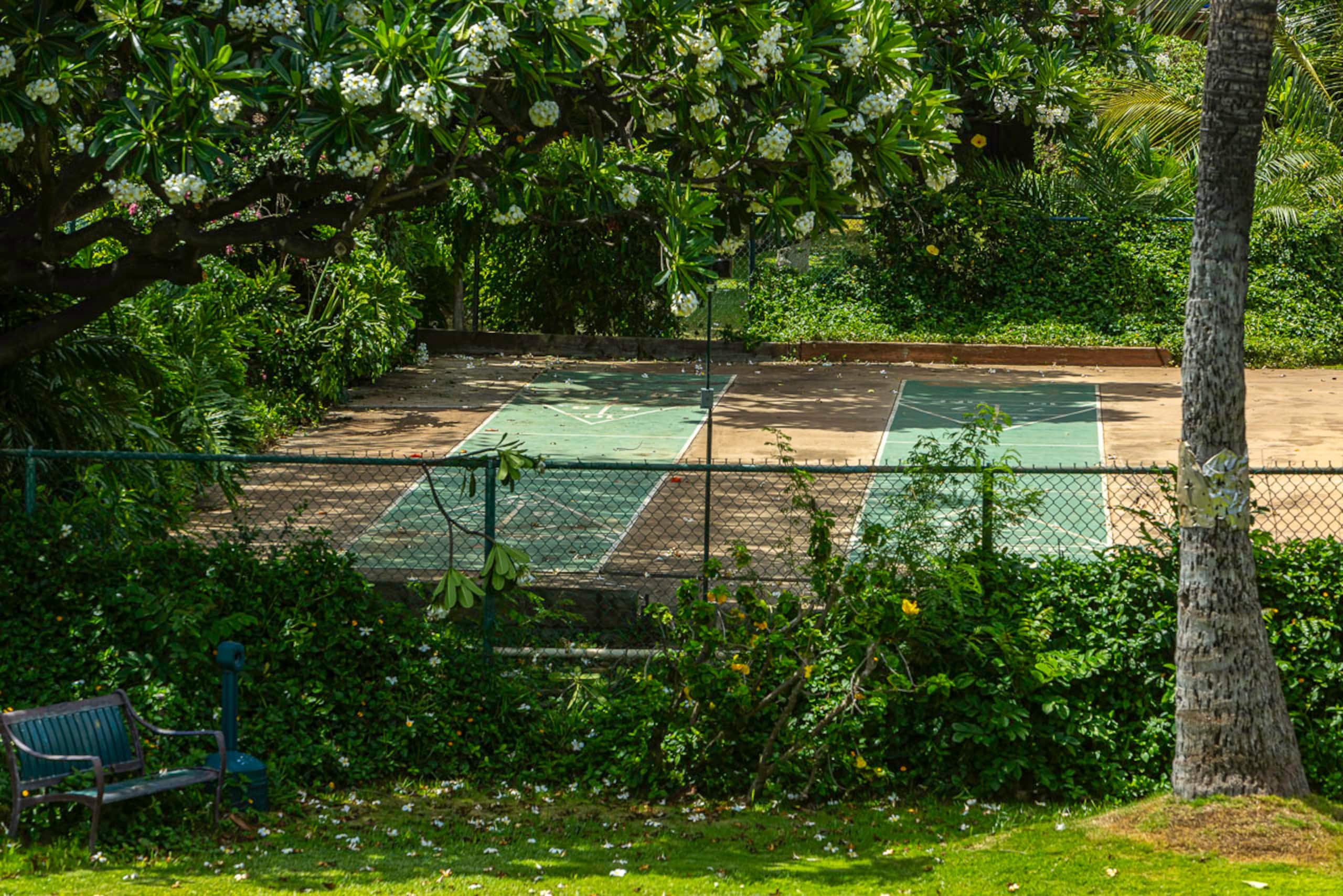 Koa Resort 5J - South Maui 2bd/2ba A/C, Pickleball - Image 39