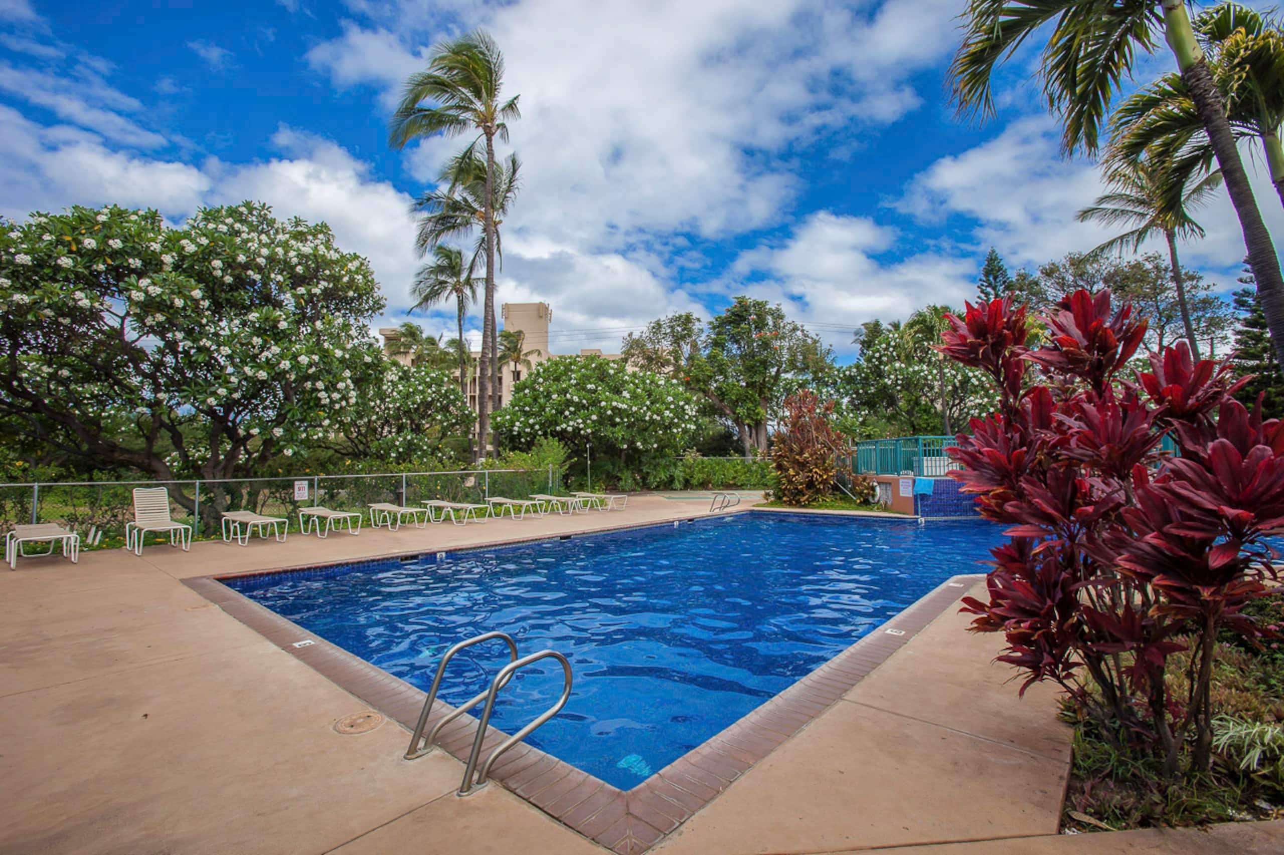 Koa Resort 5J - South Maui 2bd/2ba A/C, Pickleball - Image 35