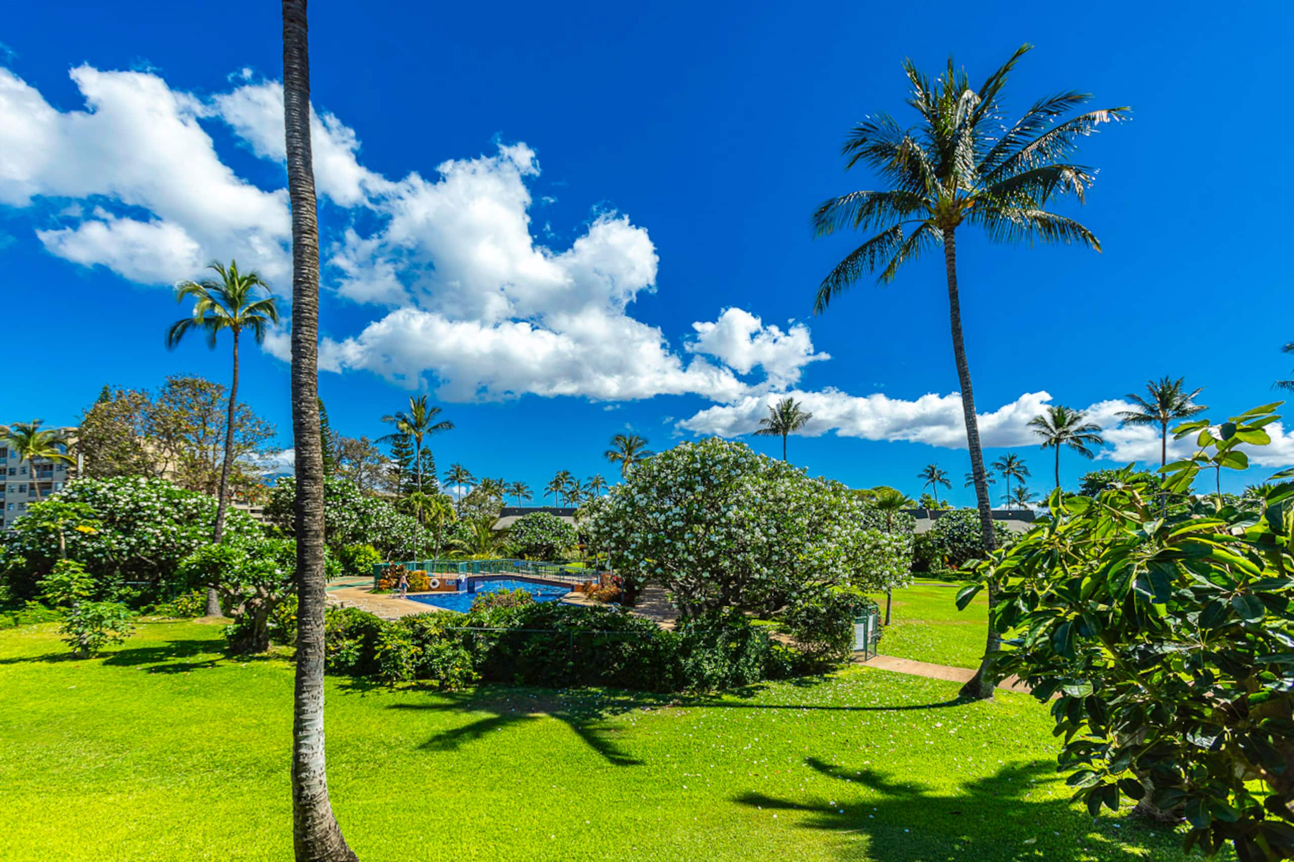 Koa Resort 5J - South Maui 2bd/2ba A/C, Pickleball - Image 55