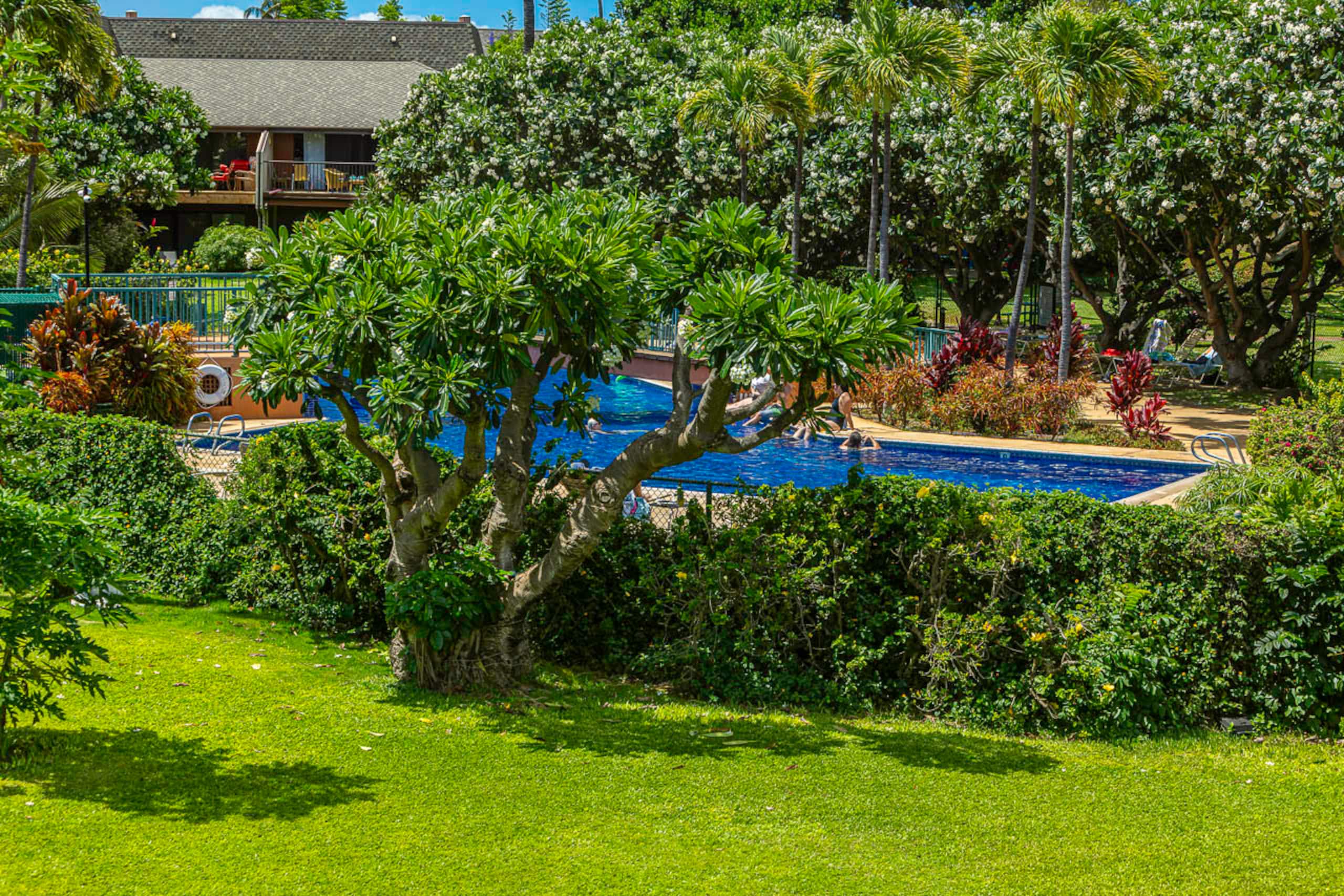 Koa Resort 5J - South Maui 2bd/2ba A/C, Pickleball - Image 31