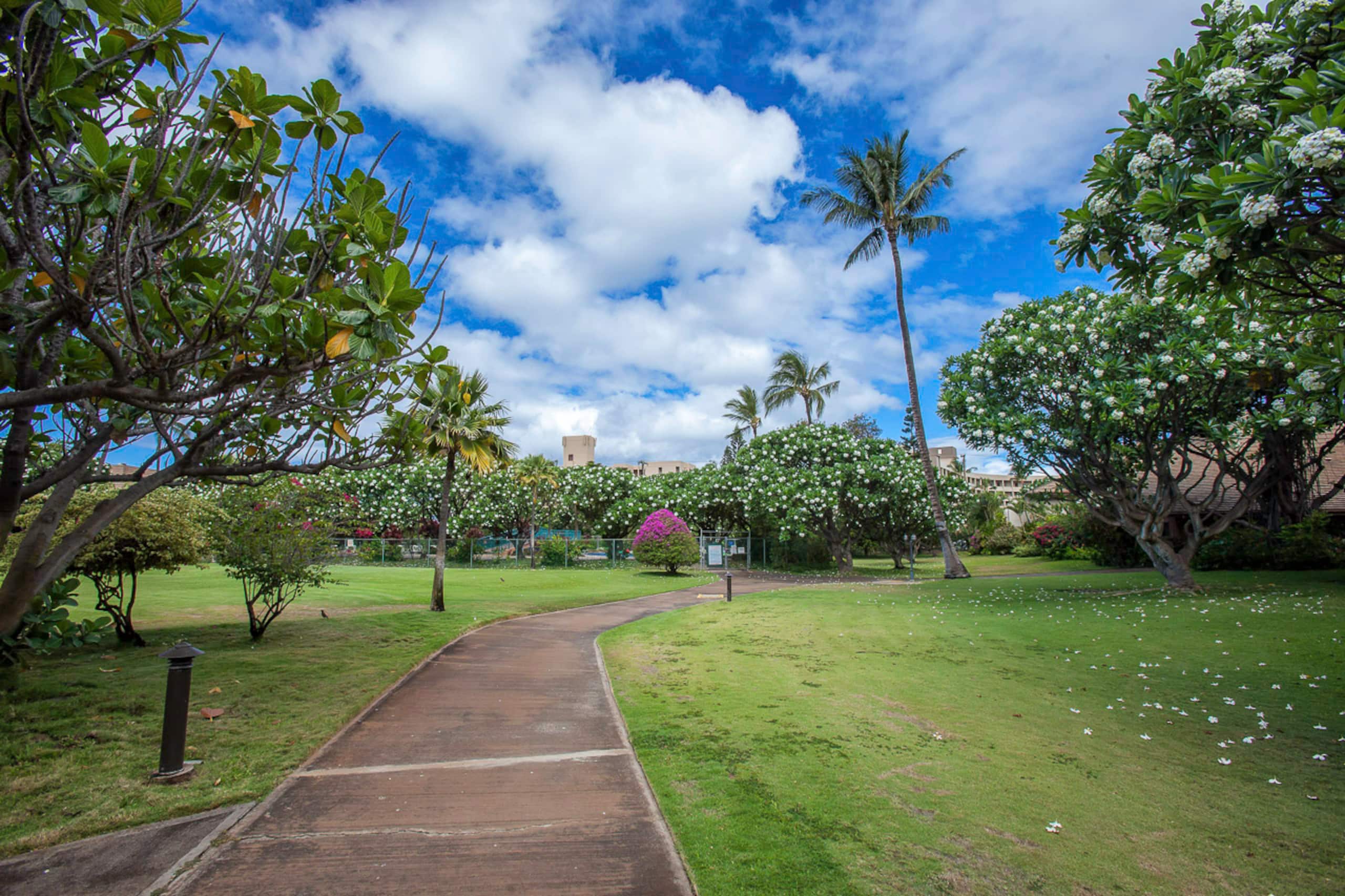 Koa Resort 5J - South Maui 2bd/2ba A/C, Pickleball - Image 44