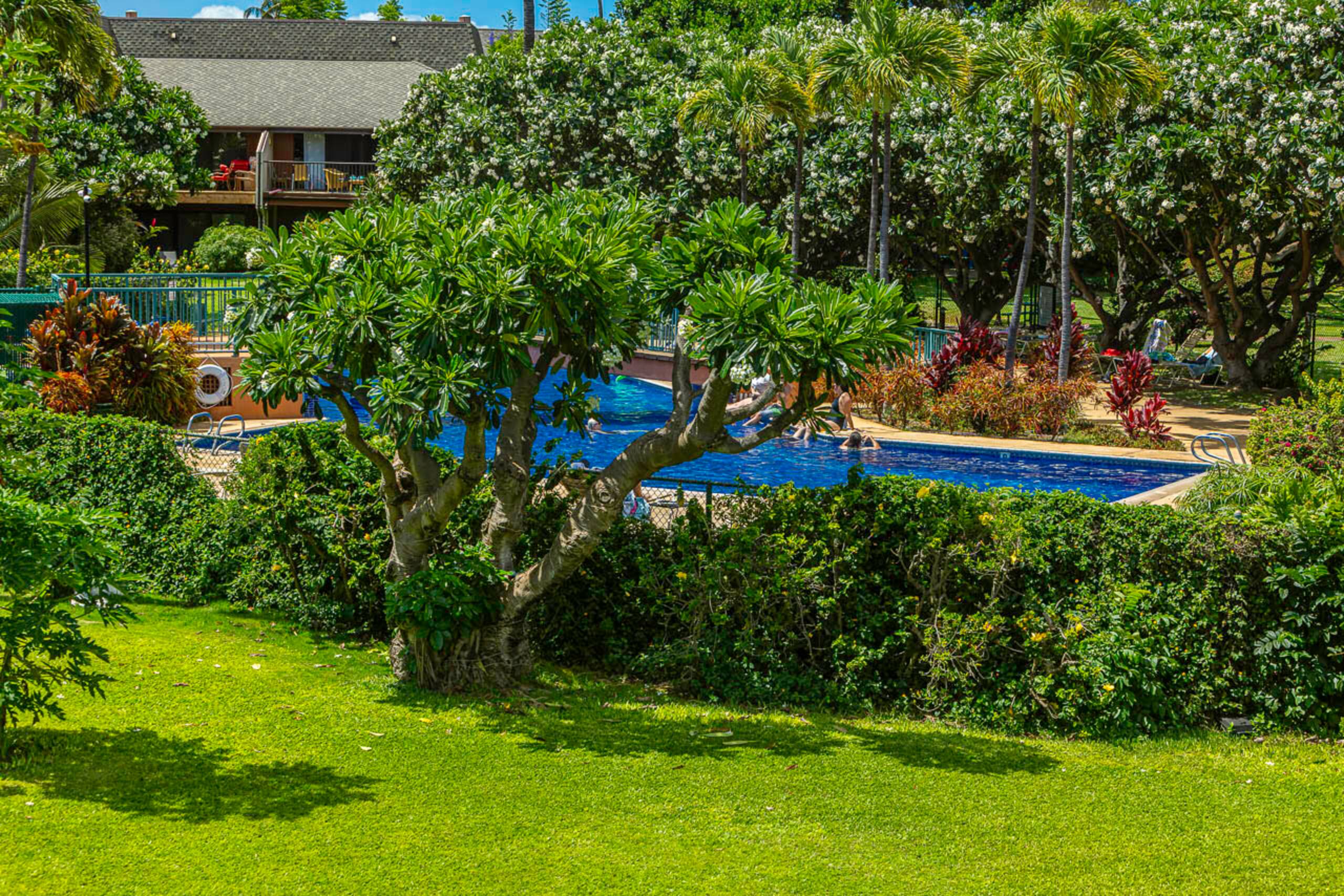 Koa Resort 5J - South Maui 2bd/2ba A/C, Pickleball - Image 32