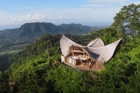 Laputa Villa #1  "The Bamboo Castle in the Sky"