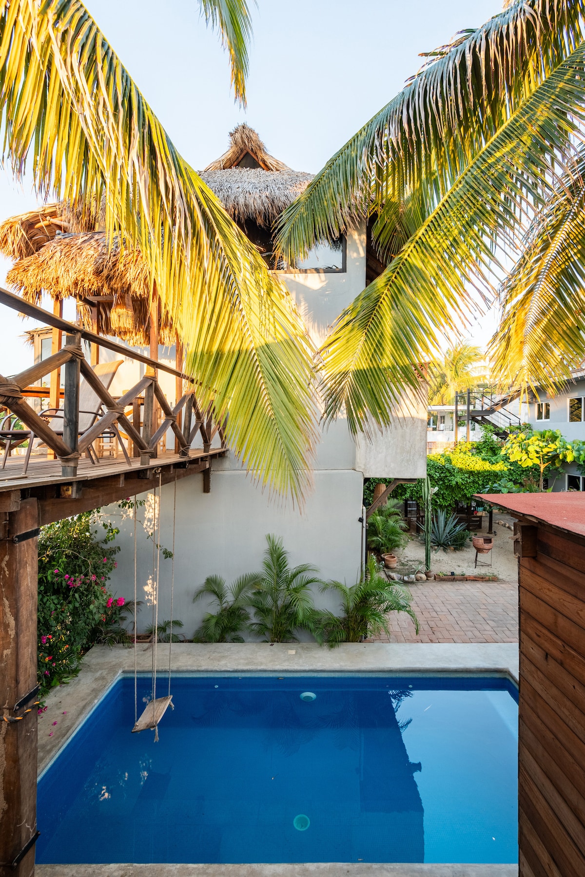 Palmera