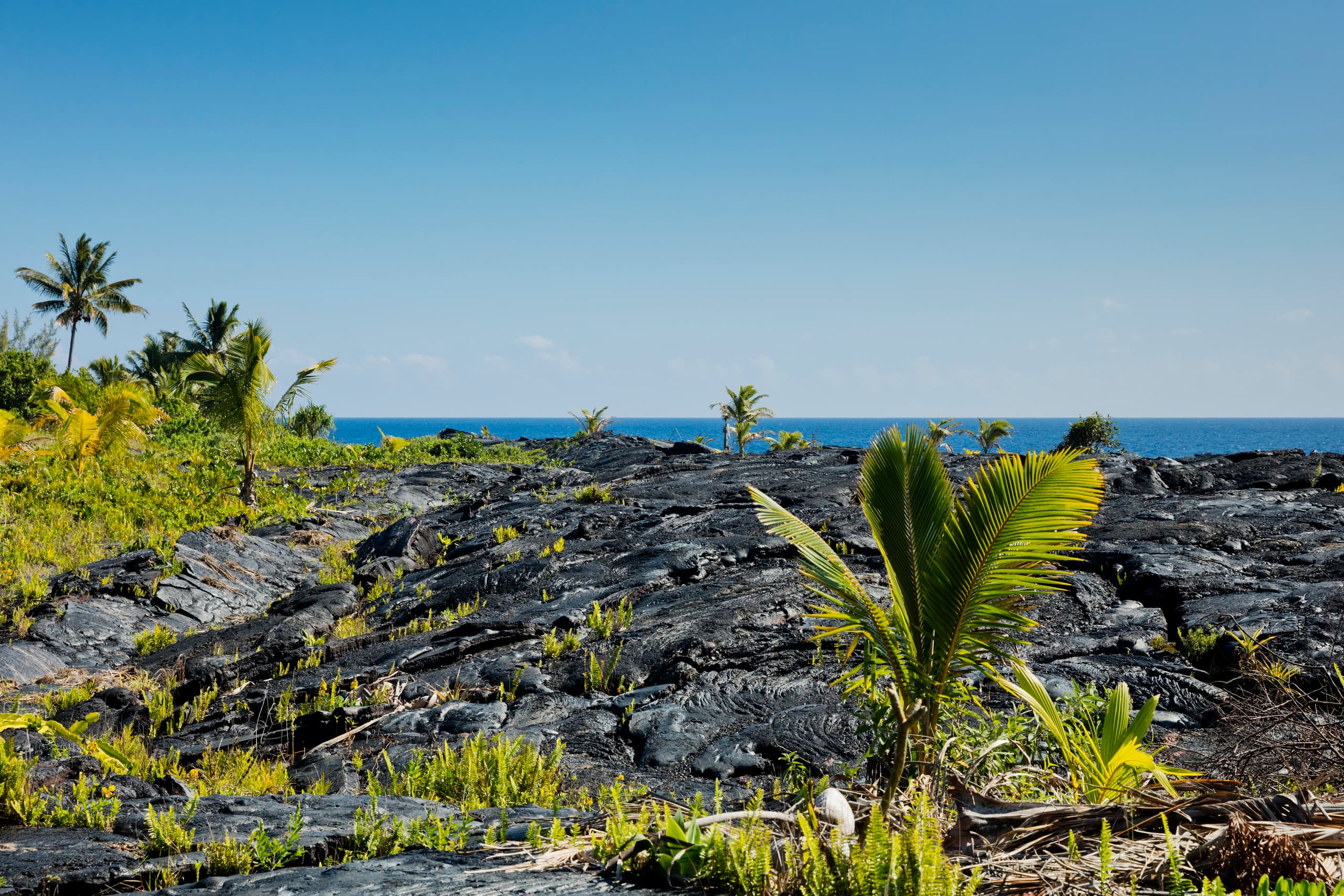 Cabin in Pahoa · ★4.76 · 1 bedroom · 1 bed · 1 private bath - Image 11