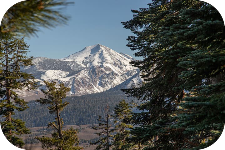 Guest favorite listing in Mammoth Lakes