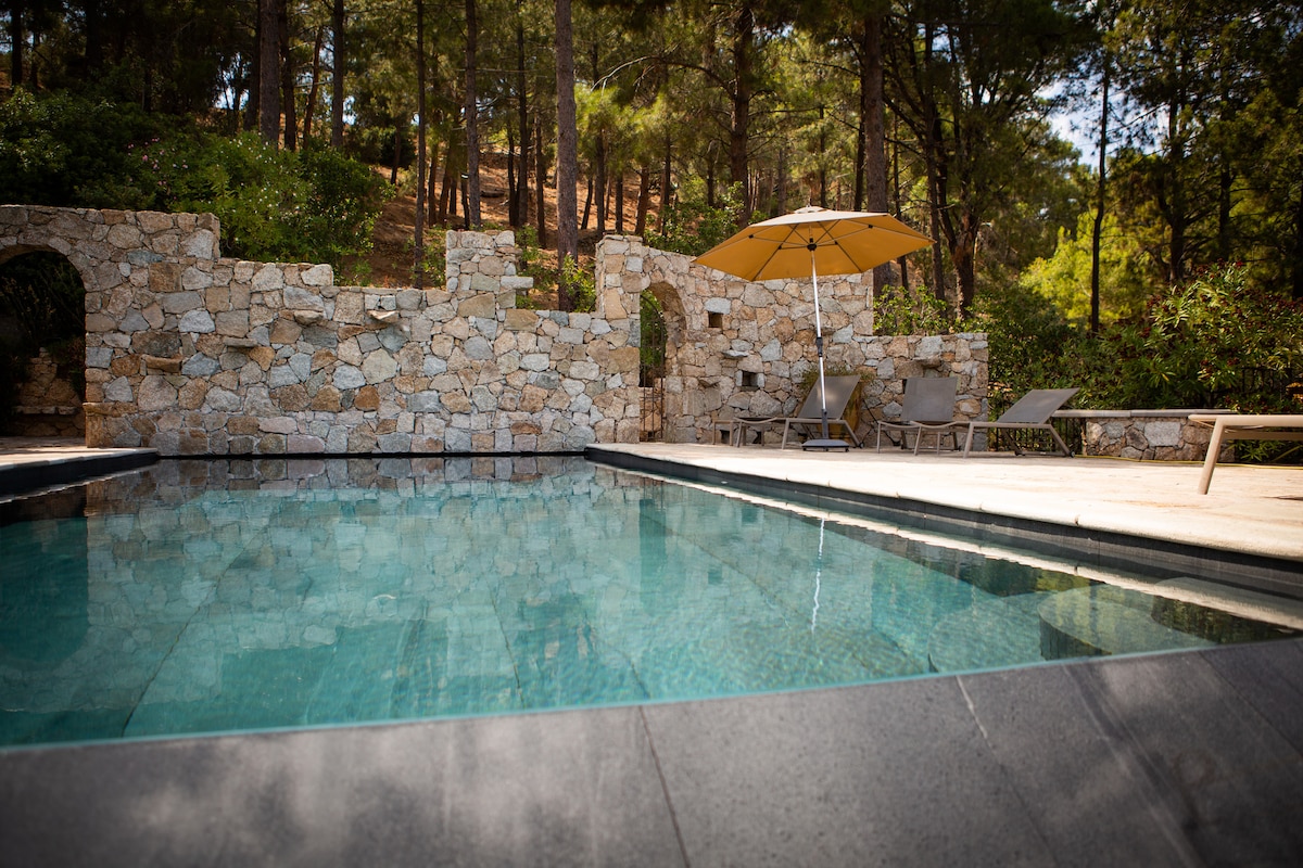 A private pool is surrounded by natural stone walls and shaded by a large umbrella. Comfortable lounge chairs are positioned on the pool deck, offering a serene space for relaxation. Dense pine trees frame the area, enhancing the tranquil setting.