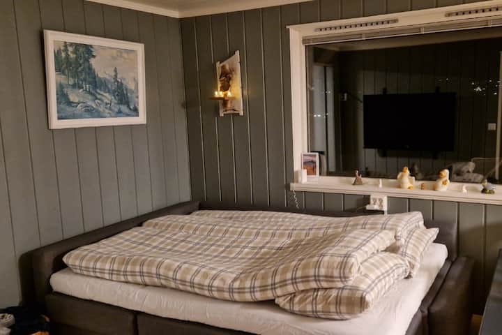 スリーパーソファは6人以上のグループのために作られています。5人以下のグループは、予約時にスリーパーソファを用意する必要があります。