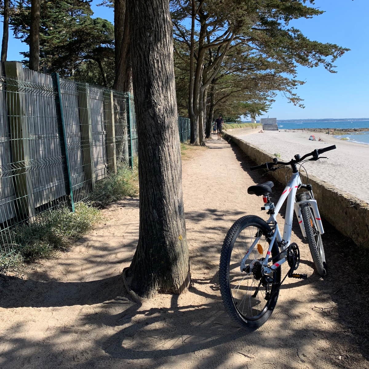 A serene coastal path is flanked by tall trees, offering shade along the sandy walkway. A bicycle leans against a tree, inviting exploration. The beach can be seen in the distance, with gentle waves lapping at the shore under a clear sky.