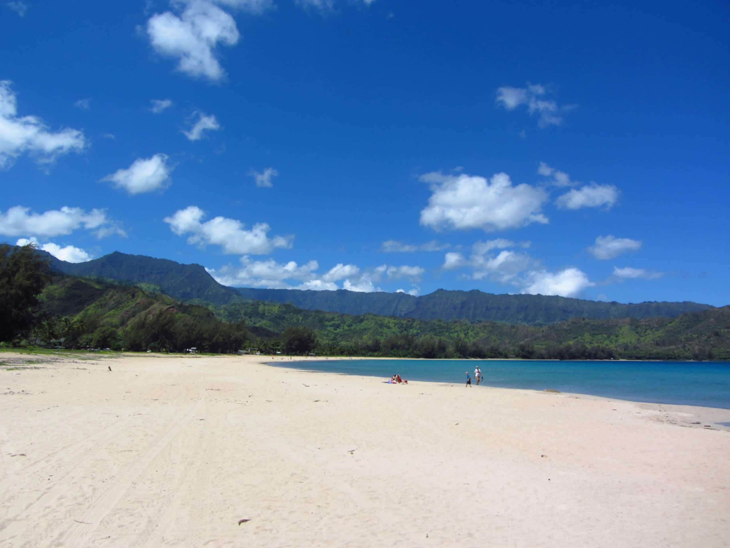 Mauna Lanai Princeville Condo, 3BR, Pool, AC - Photo 31