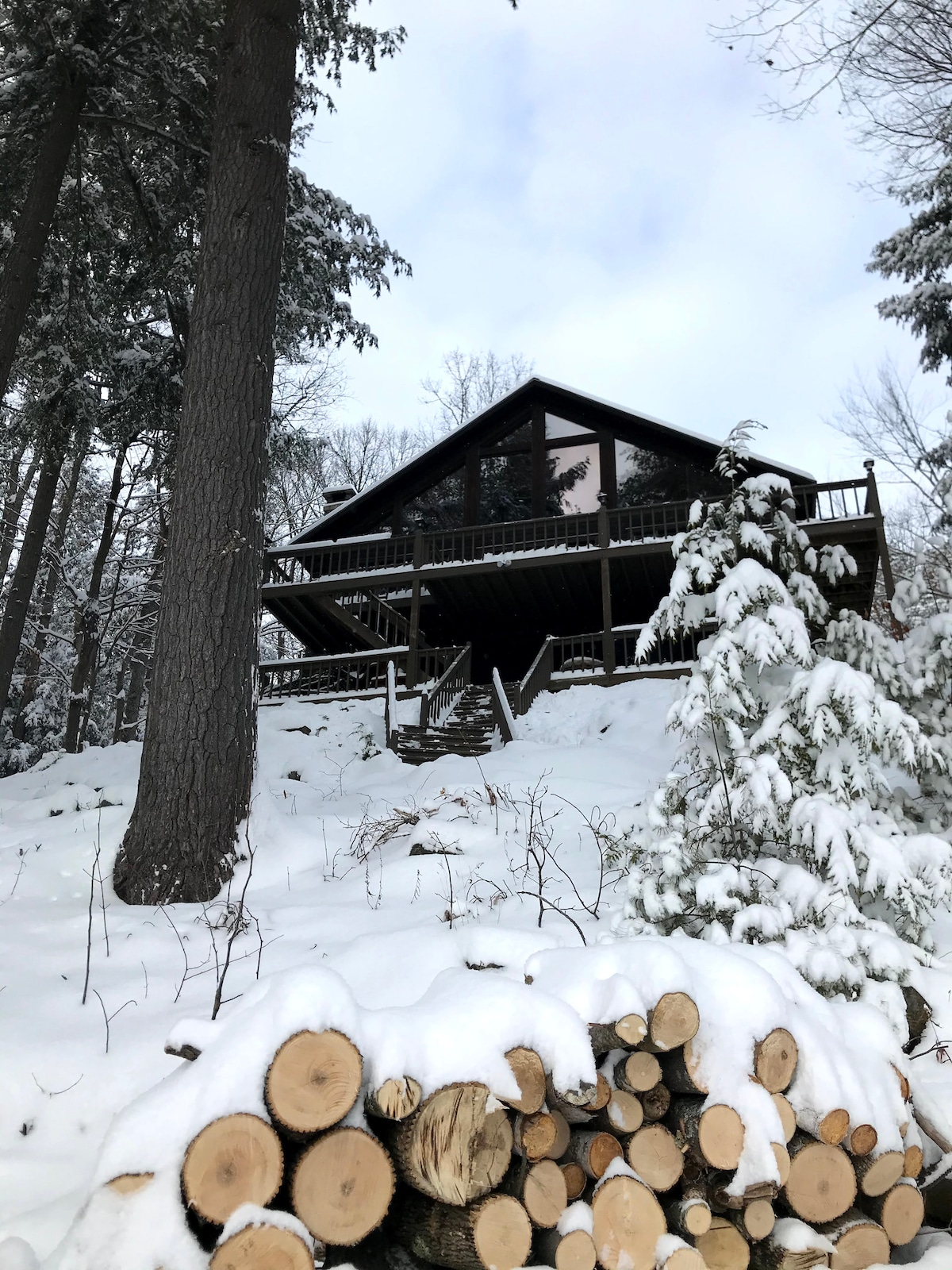 A log cabin is set against a backdrop of snow-covered trees, showcasing large windows that reflect the winter sky. A stack of firewood rests in the foreground, with snow blanketing the ground and branches, emphasizing the serene winter setting.