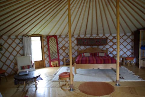 Unusual yurt stay close to the sea (4)