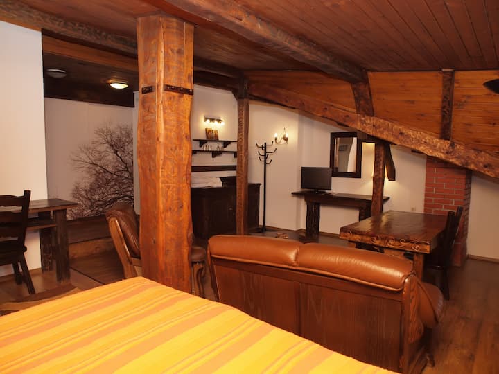 Izba č.21 - spálňa; vírivka; televízor; uteráky; papuče; sušič vlasov; rýchlovarná kanvica; Wi-Fi; digitálna televízia;krb;
Dodatočné na požiadanie : detská ohrádka; posteľ; cena:260lv