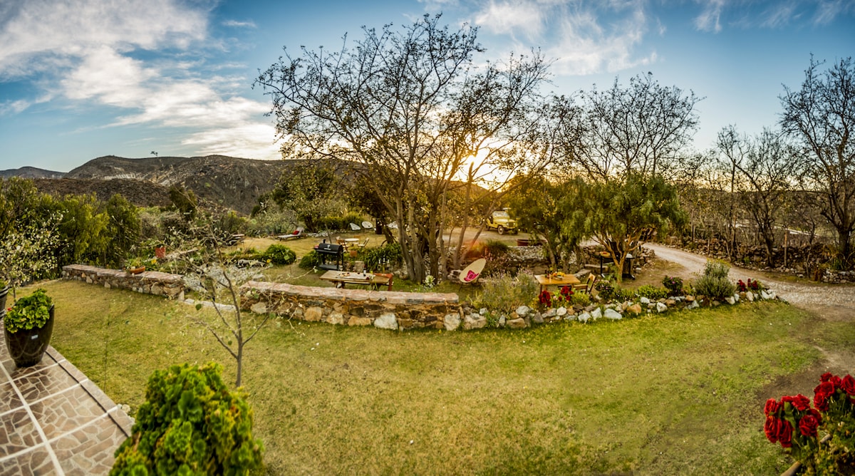 A panoramic view captures a serene garden space surrounded by gentle hills. Leafy trees provide shade, while colorful flowers add vibrancy to the lawn. Benches and picnic tables can be seen throughout the area, inviting relaxation amidst a tranquil natural setting.