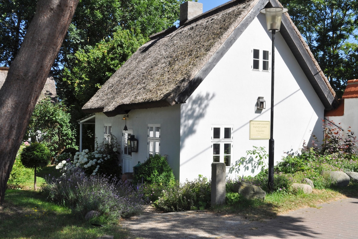 A charming thatched-roof cottage is surrounded by greenery, featuring white walls and small windows. The entrance is marked by a lantern next to the door. Lush plants and flowers enhance the welcoming exterior, creating a serene atmosphere in the natural setting.