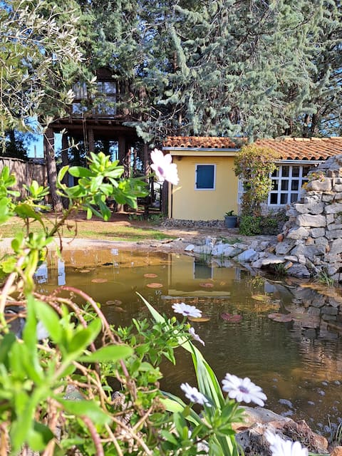 Top Airbnb: Charming Delanija - a vacation for nature lovers in Brzac