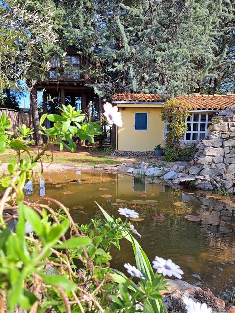Charming Delanija - a vacation for nature lovers