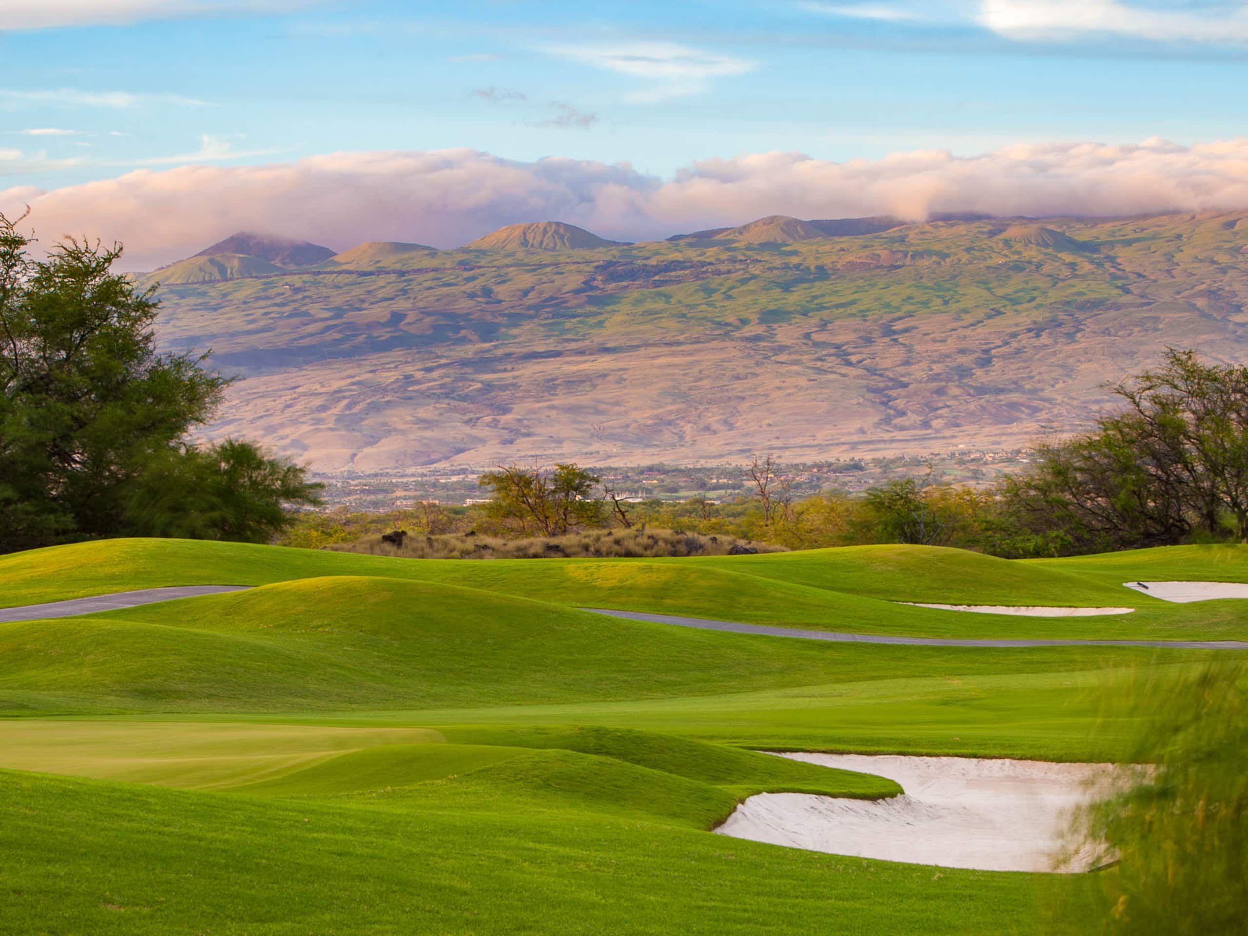 Home in Waimea · ★4.73 · 4 bedrooms · 7 beds · 3.5 baths - Image 15