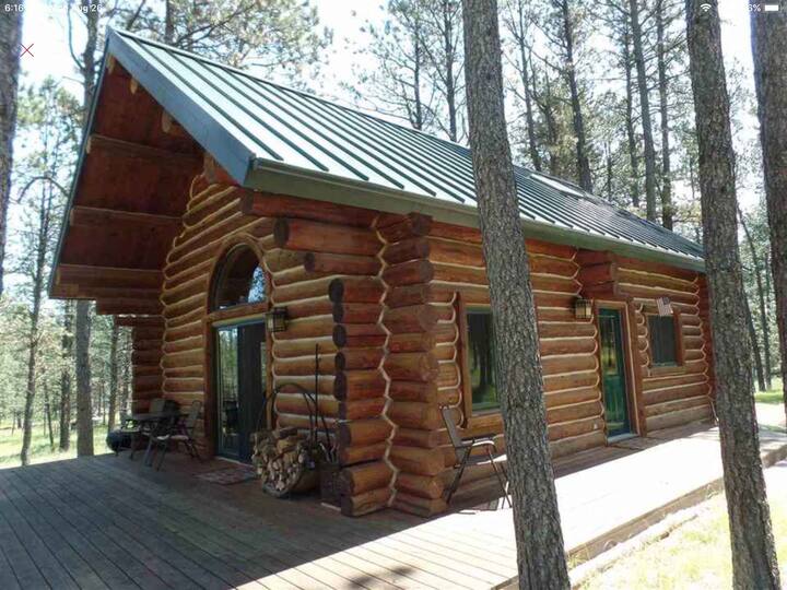 10 Best Airbnb Vacation Rentals Near Custer State Park, South Dakota
