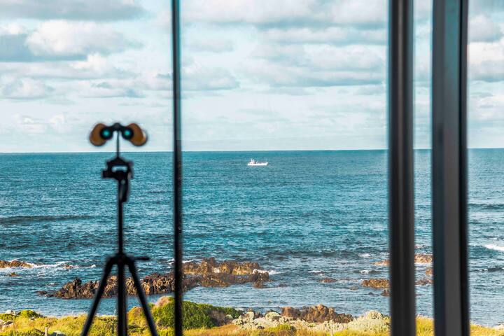 Caladenia – Absolute Ocean Views, Nature – Stylish gallery image 5