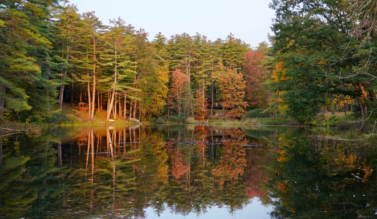 A tranquil lake is surrounded by towering trees in vibrant autumn colors, with reflections of the foliage visible on the water's surface. The serene landscape creates a peaceful ambiance, inviting exploration of the natural surroundings.