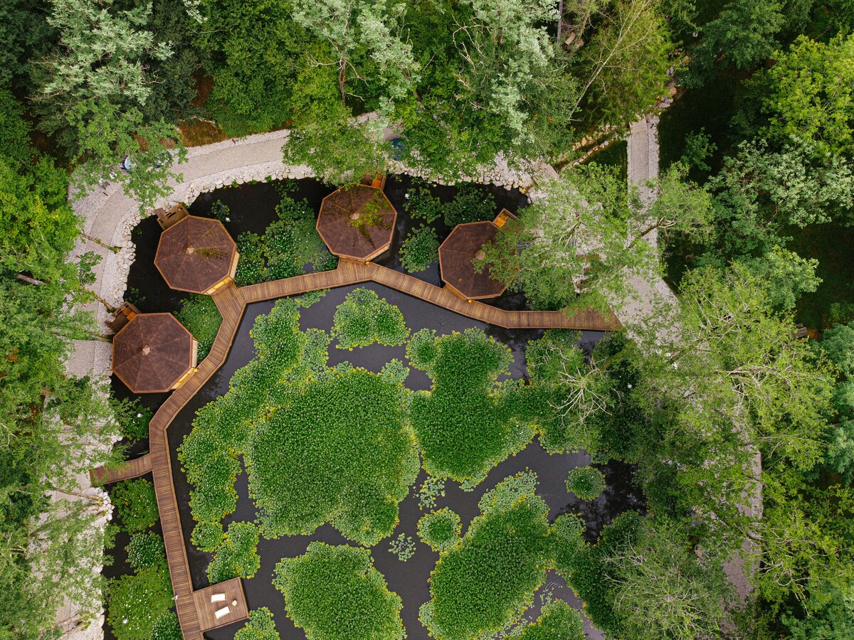 An aerial view captures a winding pathway through lush greenery, bordered by tranquil water dotted with lily pads. Eight wooden pavilions with thatched roofs are strategically placed along the path, creating intimate spaces for relaxation amidst nature.